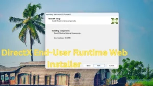 Directx end user runtime web installer Error | directx offline installer