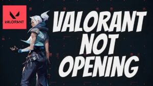 valorant not opening