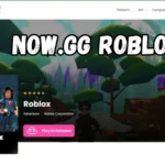 now.gg roblox
