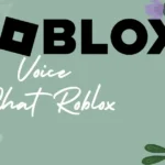 voice chat