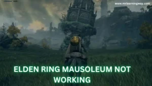 ELDEN RING MAUSOLEUM NOT WORKING Solved!