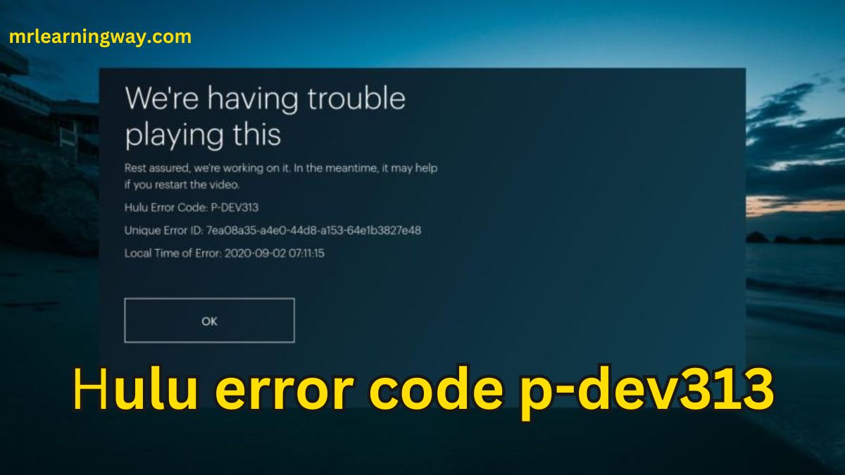 hulu error code p-dev313