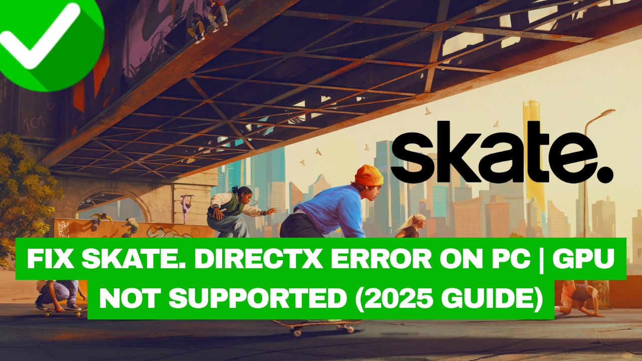 Skate DirectX Error PC