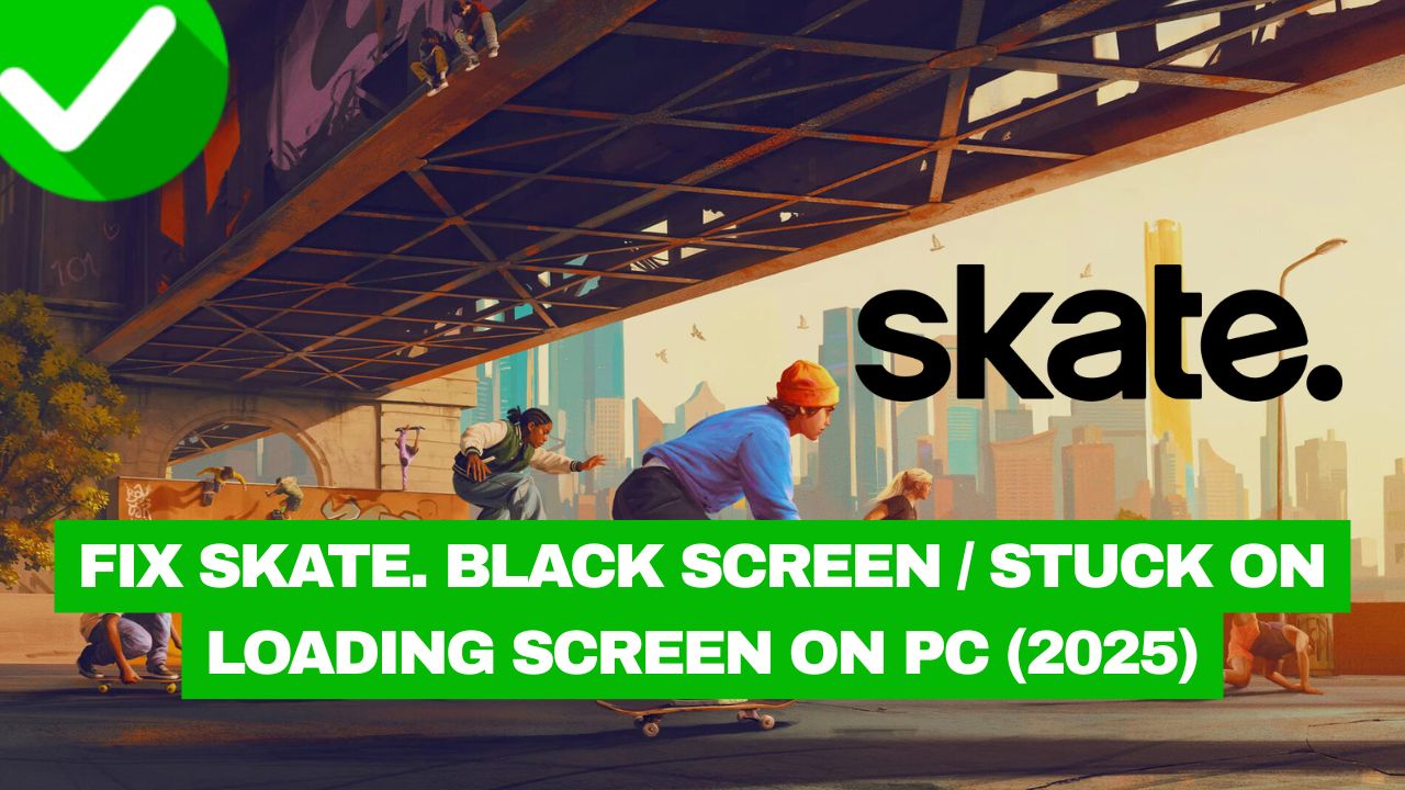 Skate black screen PC