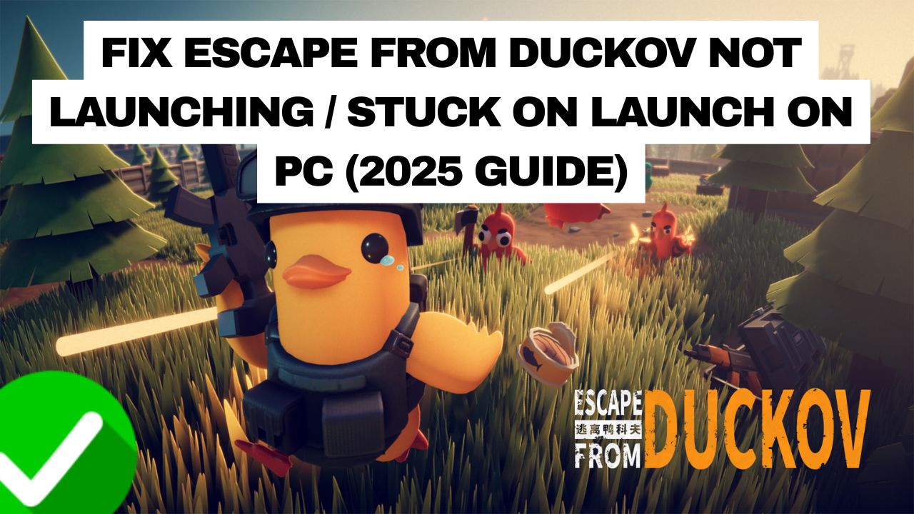 Escape From Duckov Not Launching