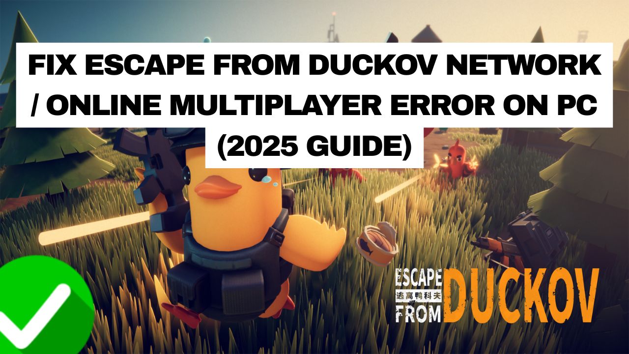 Escape From Duckov Network Error