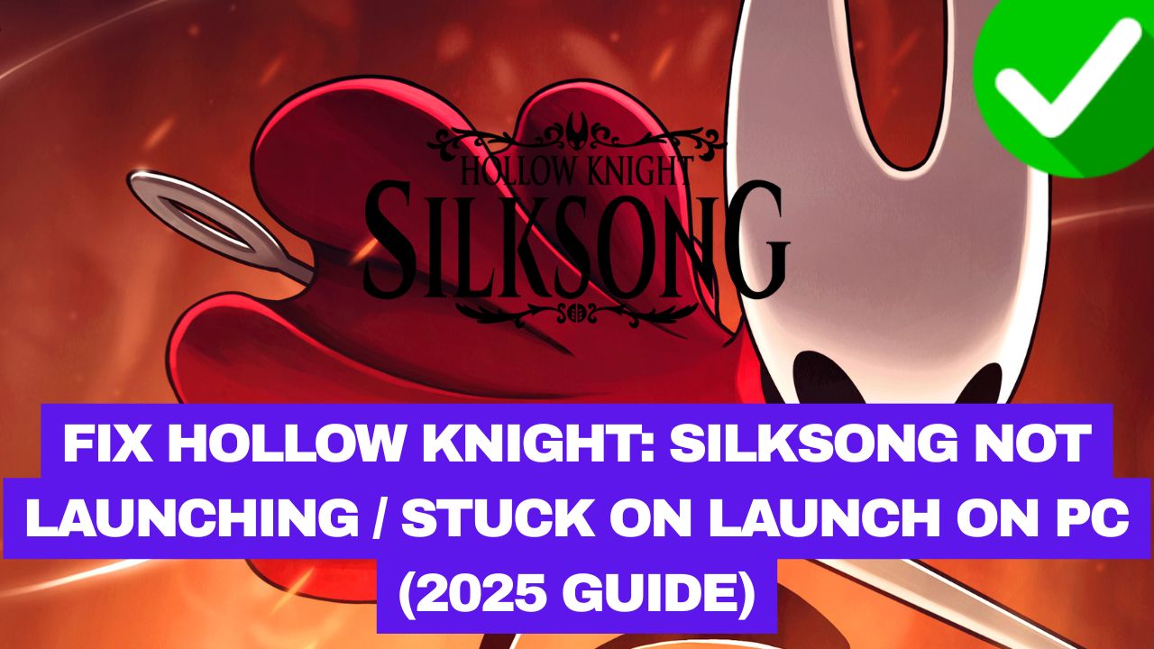 Hollow Knight Silksong Not Launching