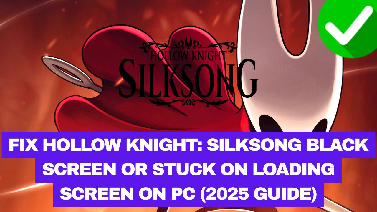 Hollow Knight Silksong Black Screen