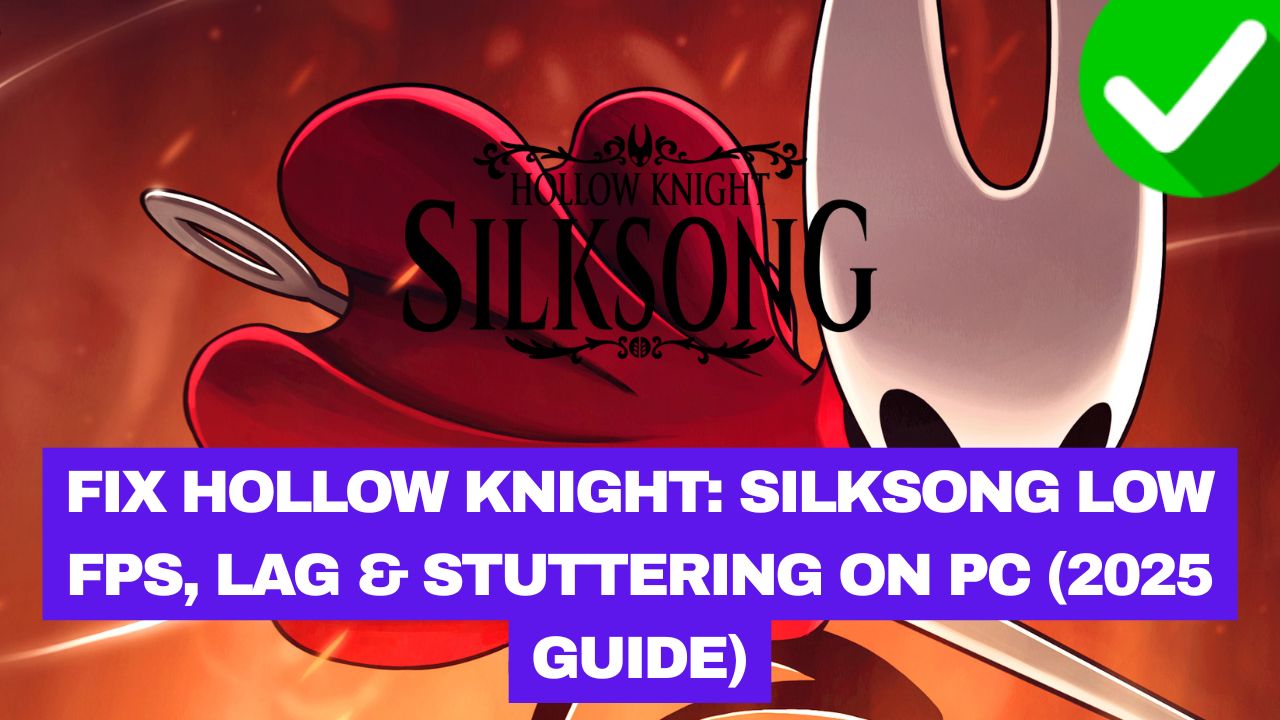 Hollow Knight Silksong Low FPS