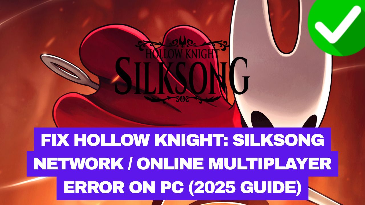 Hollow Knight Silksong Network Error