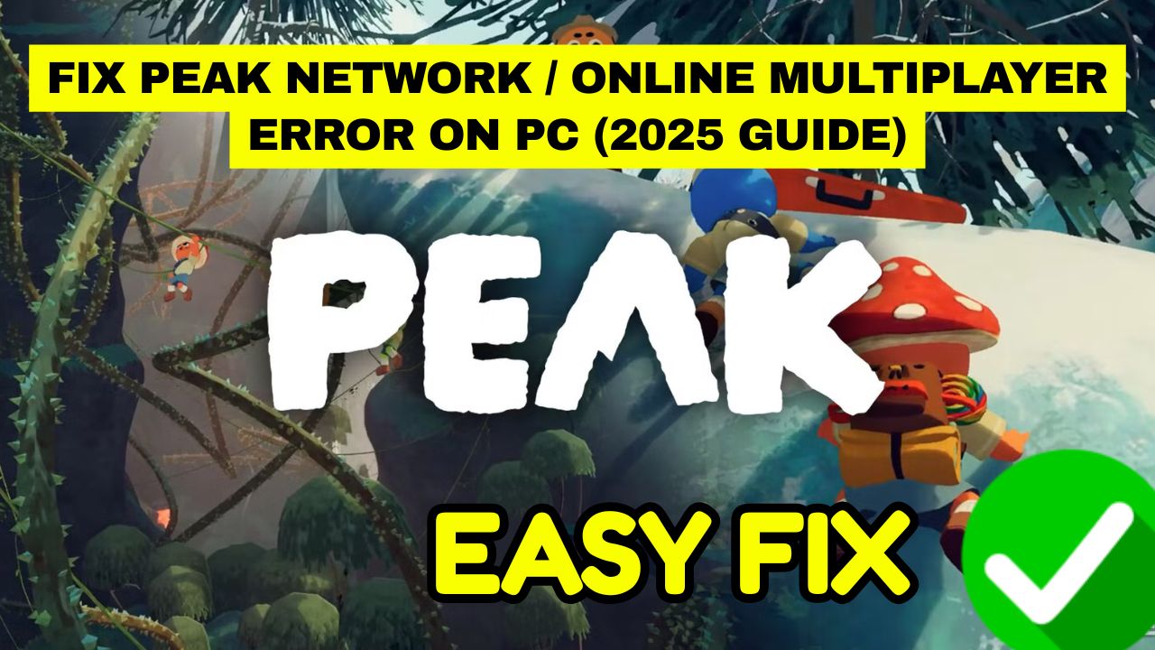 PEAK Network Error