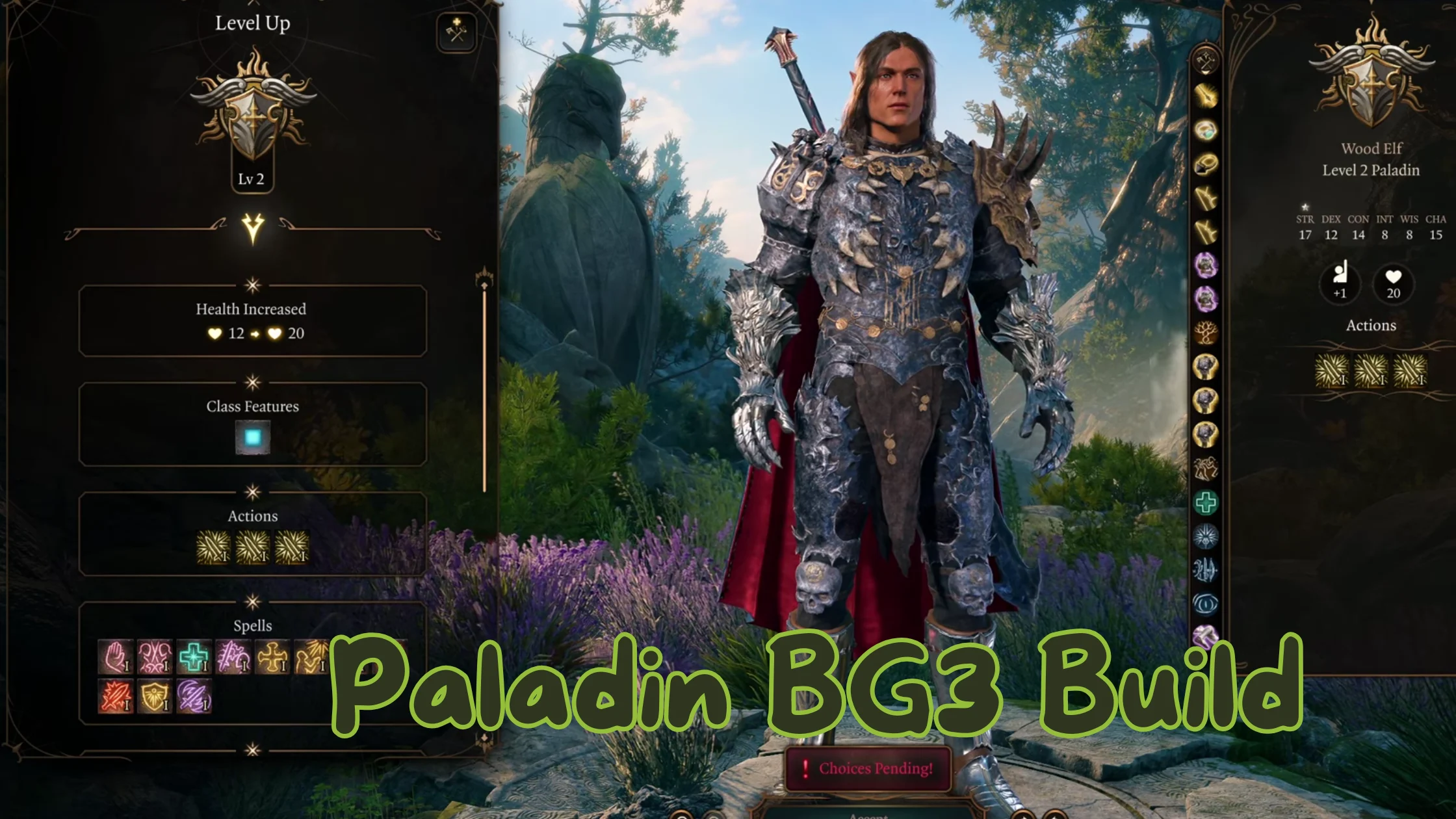 Paladin BG3 Build