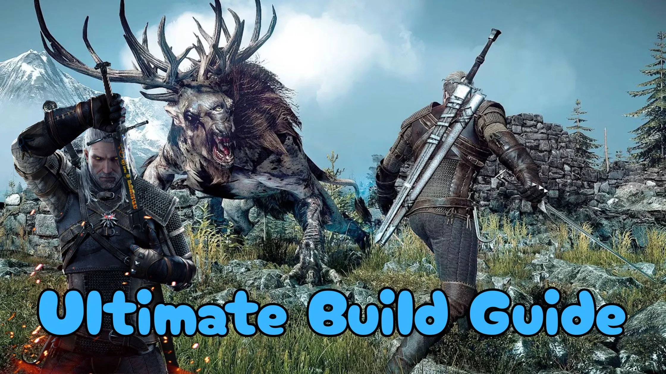 witcher 3 builds